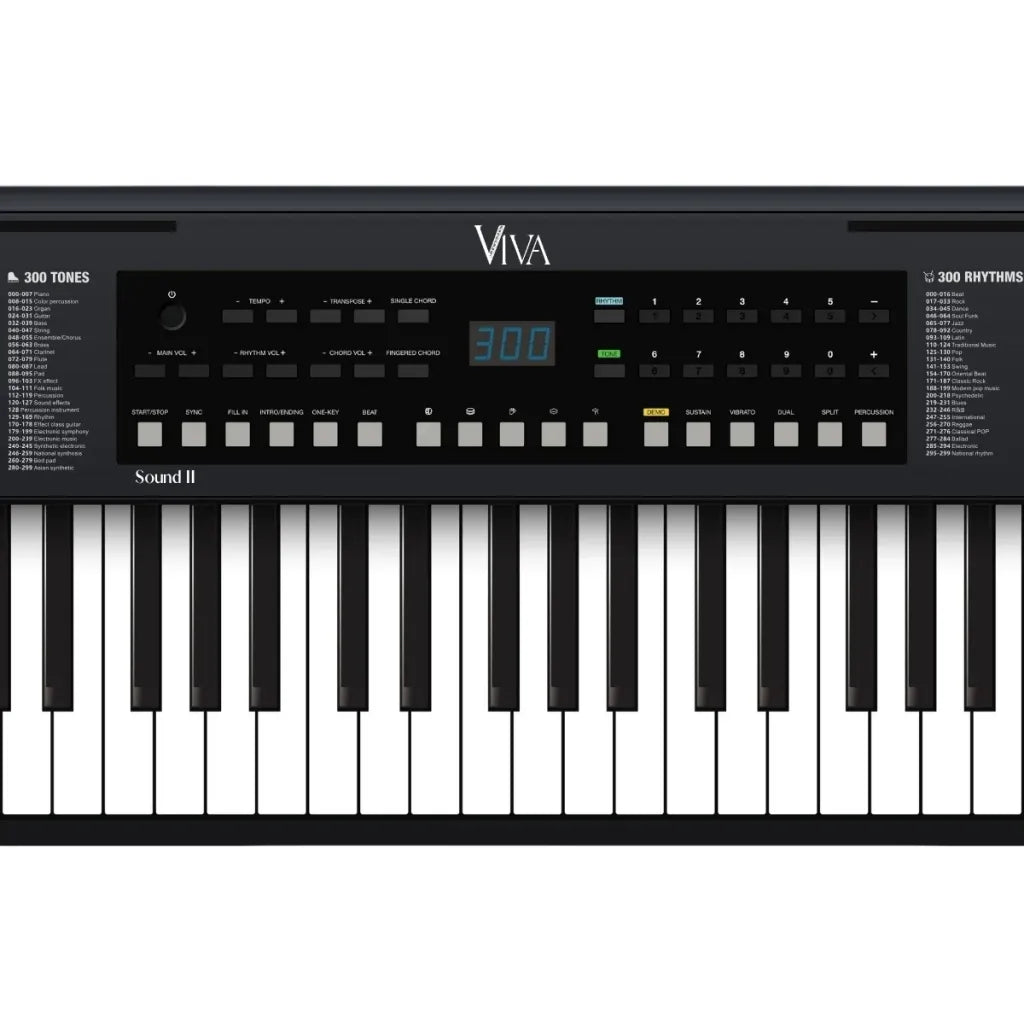 Viva Sound II Package keyboard