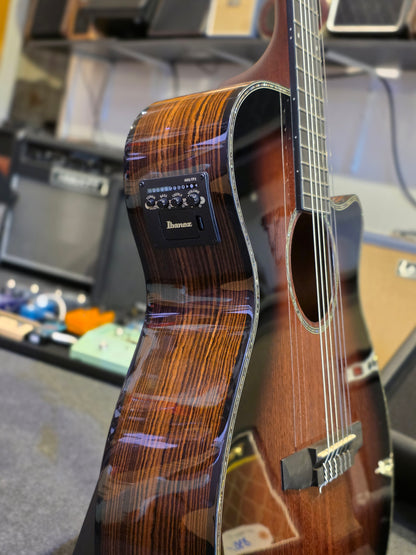 Ibanez AEG74N-MHS Nylonstrenget guitar med mikrofon