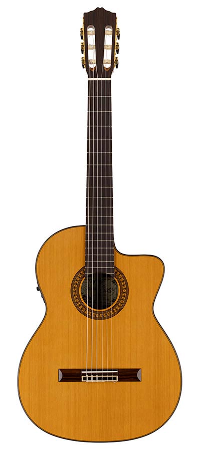 Salvador Cortez CC-60CE Solid Top Concert Series klassisk guitar