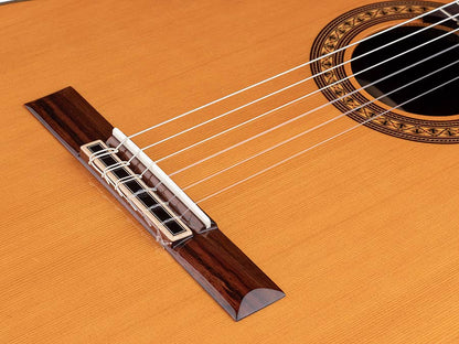Salvador Cortez CC-60CE Solid Top Concert Series klassisk guitar
