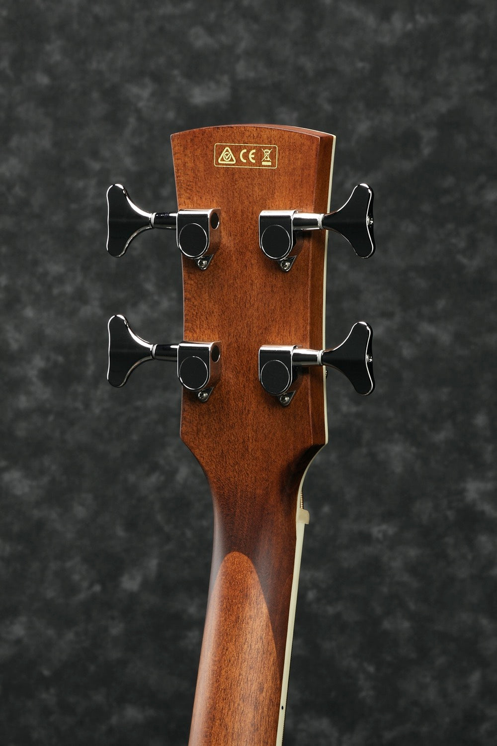 Ibanez PNB14E-OPN acoustic bass with mic