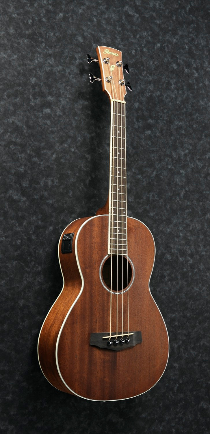 Ibanez PNB14E-OPN acoustic bass with mic