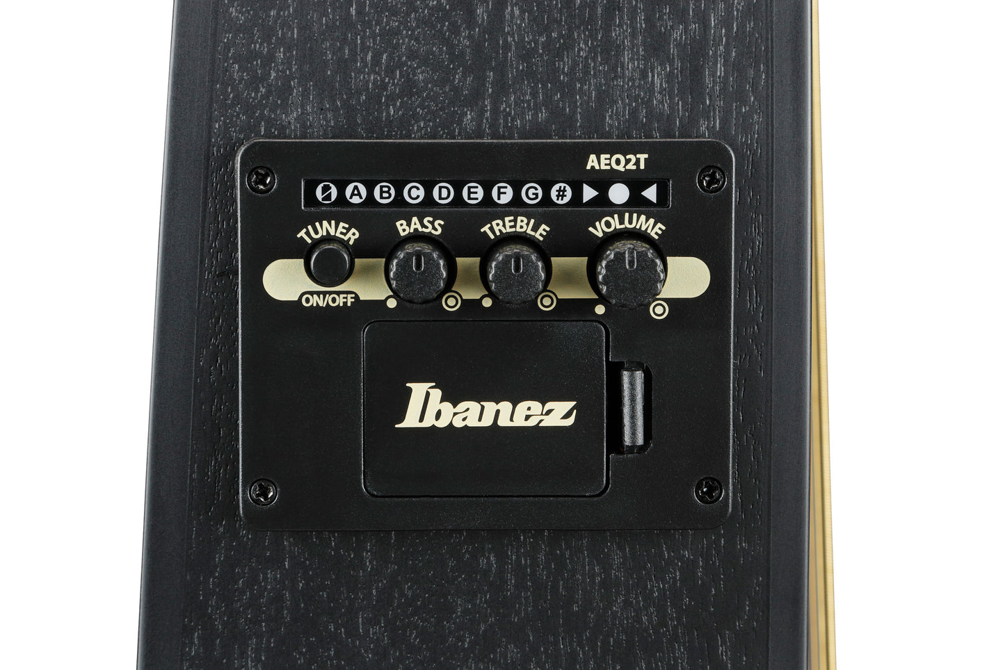 Ibanez TCY621-BOT, Black Out Talman Serien Western Guitar m/mikrofon