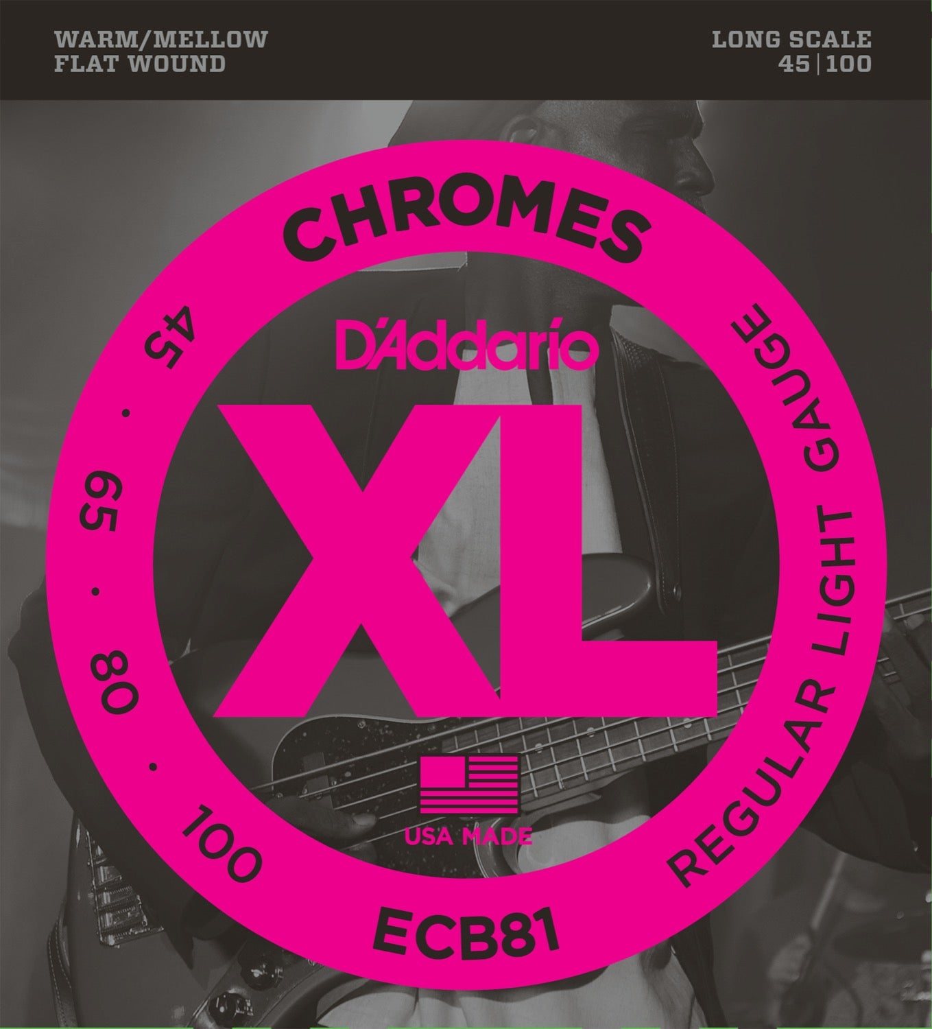 Daddario Fretted ECB81 Light 045 - 100