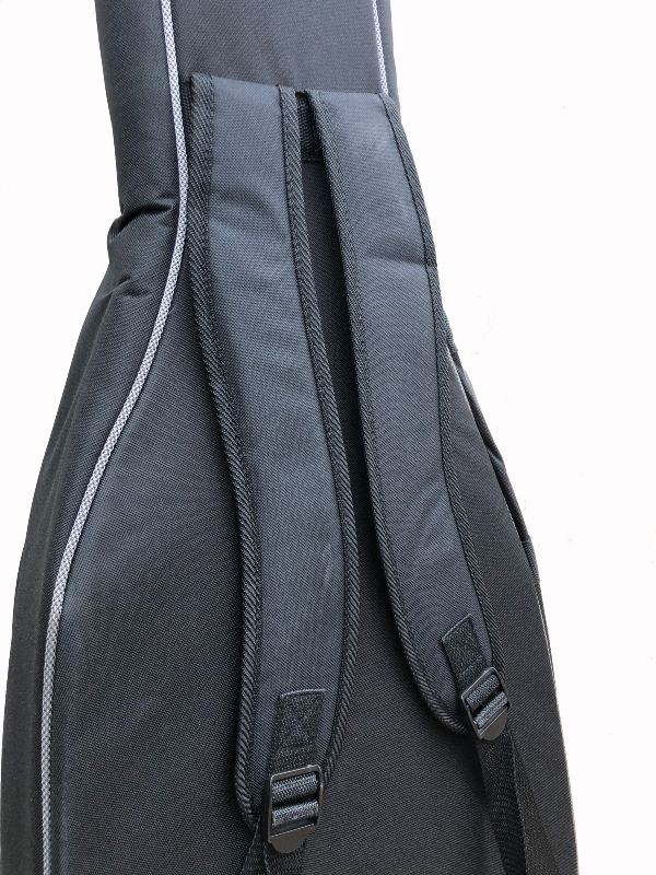 Bass guitar bag Profile PRBB-100 Gigbag 