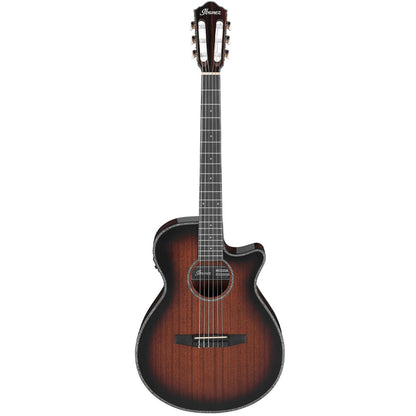 Ibanez AEG74N-MHS Nylonstrenget guitar med mikrofon