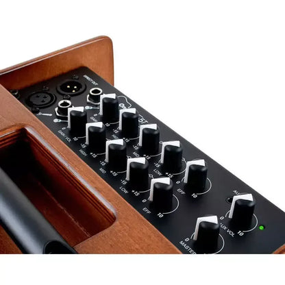 Acus One For Strings 5T-SIMON Wood acoustic guitar amplifier wood