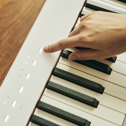 CASIO Privia PX-S1100 digital piano (available in several colors)