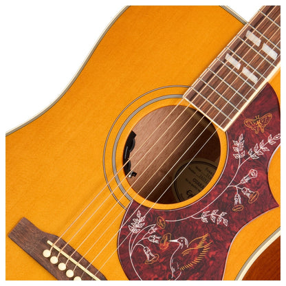 Hummingbird Studio NA Hummingbird Studio NA med Fishman Presys VT-system og gigbag