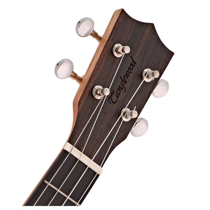 Tanglewood TWT20 Baritone, All Figured Ebony, Aquila Strings in Padded Gig Bag