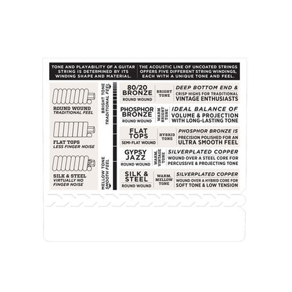Daddario EJ42 Set Resophonic Guitar 16-56