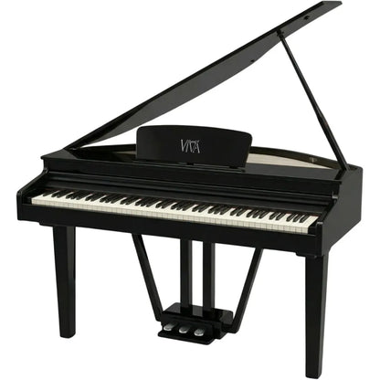 Viva Grand II el-flygel